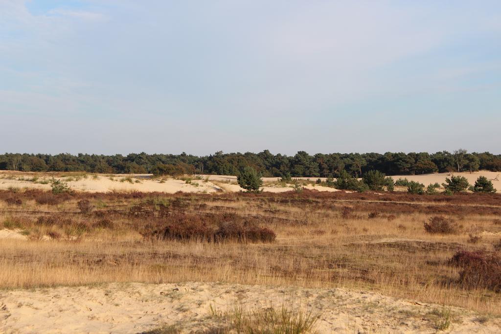 Natuurpoort Van Loon Loon op Zand Eksteriør billede